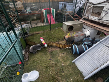 2 finished one to go