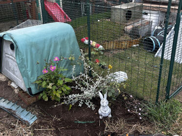 A flower bed to make it look nice, rabbit friendly plants at the back