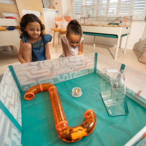 Two children looking at their hamster in the starter tunnels in the Omlet hamster playpen