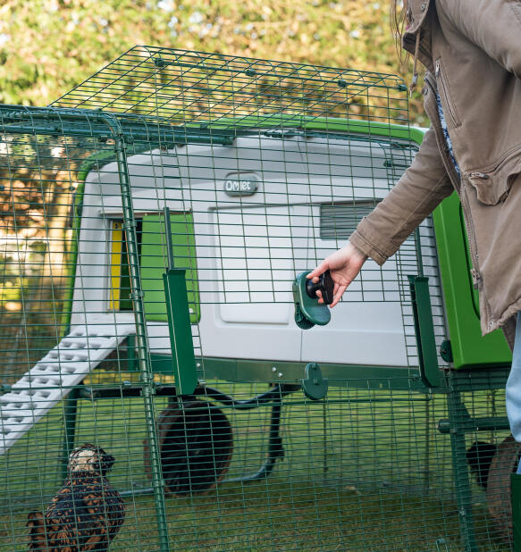 woman opening easy access run door for eglu pro and cube