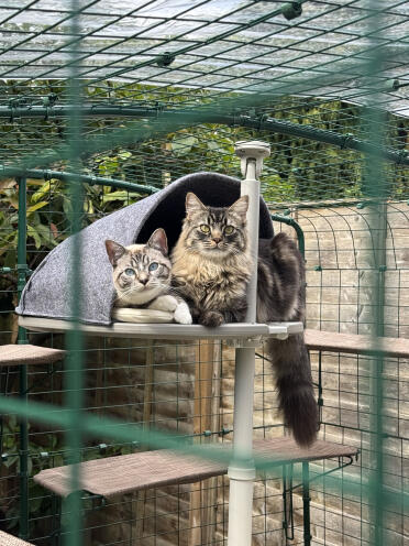 Might need to buy two…