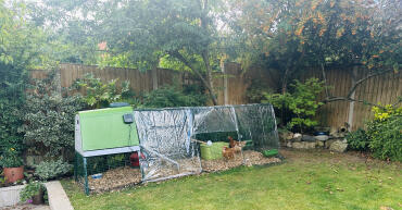 Loving their new home 