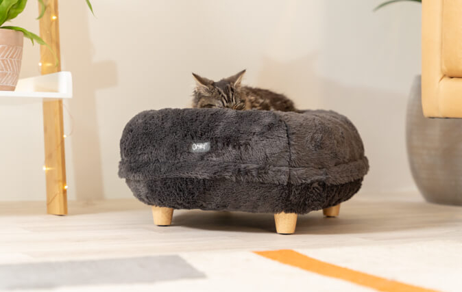 Raise the Bed With Designer Feet for Style, Comfort and Hygiene