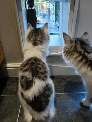 You go first and I'll follow