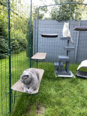 Are very stable 👍🏼