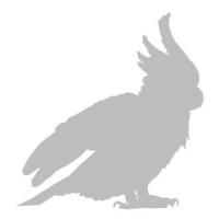 Blue Crowned Racquet Tail