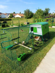 The Omlet perch set up inside of an Eglu Cube run.