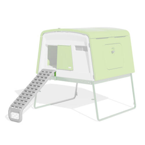 Pro Ladder for Eglu Cube