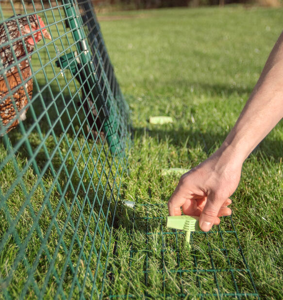 detail of screw pegs being used to secure an eglu chicken coop run into the ground