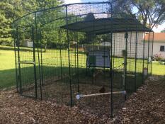 A perch attached inside of the chicken walk in run.