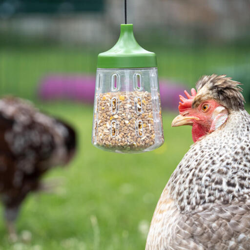 Omlet chicken peck toys for poultry coops and runs