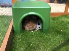 Perfect shadey snooze spot