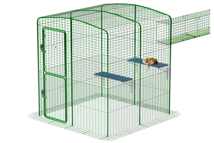 cat inside an outdoor catio with tunnel connection