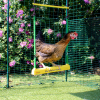 A chicken sitting on the Chicken Swing