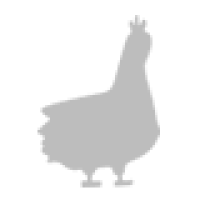 Appenzeller Barthuhner