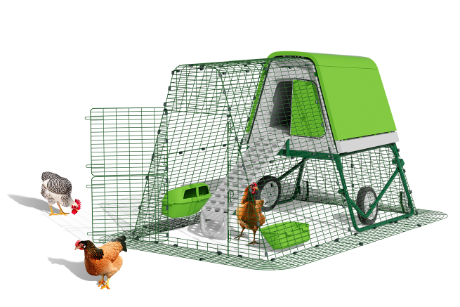 eglu go up raised chicken coop