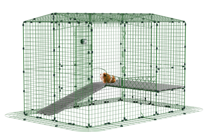 guinea pig in a playpen designed by Omlet